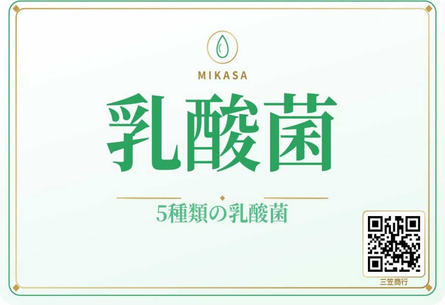 三笠商行 乳酸菌 ラベル