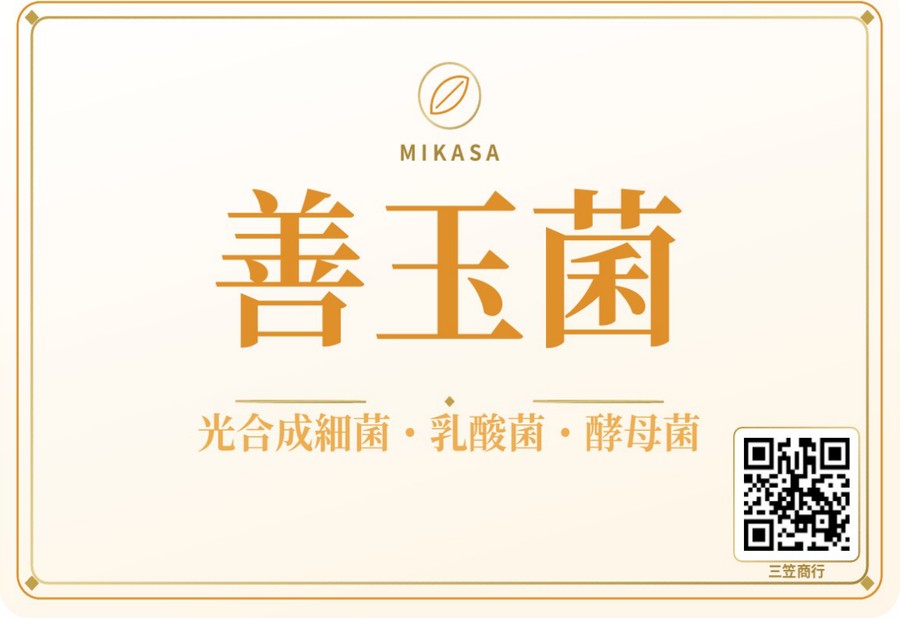 三笠商行 善玉菌 ラベル